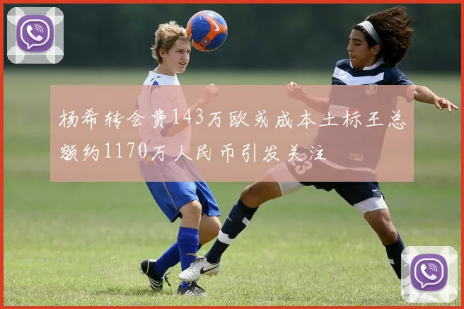 杨希转会费143万欧或成本土标王总额约1170万人民币引发关注